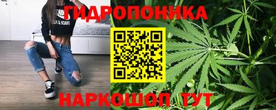 ешки Будённовск
