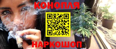 ешки Будённовск