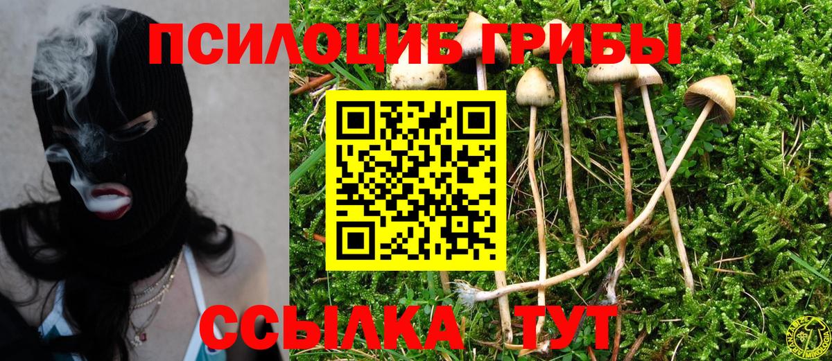 Туапсе  Галлюциногенные грибы Cubensis  Вход с VPN 